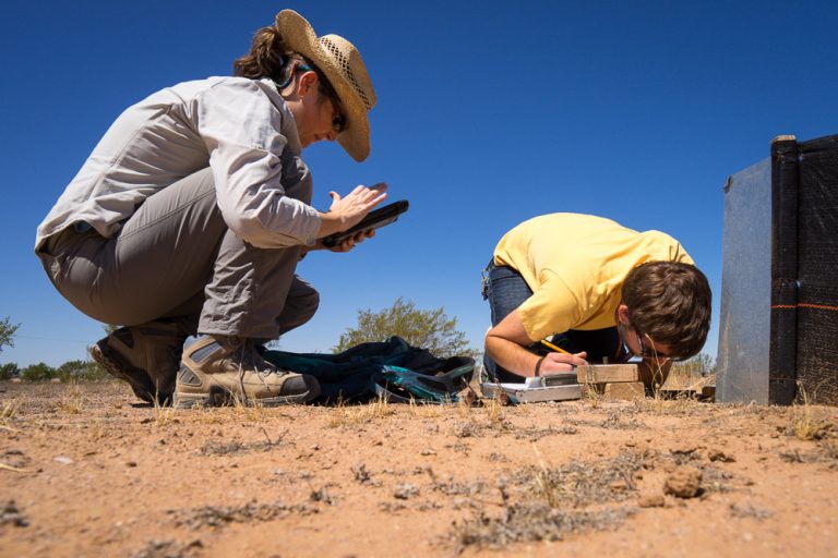 students in desert logging their findings