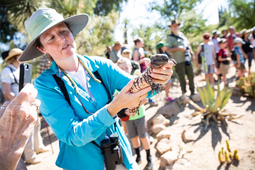 Dr. Bateman shows the camera a lizard
